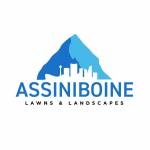 assiniboinevlandscapes profile picture