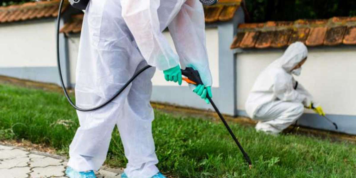 Effective Rodent Control and Pest Management in Conroe and Montgomery, TX