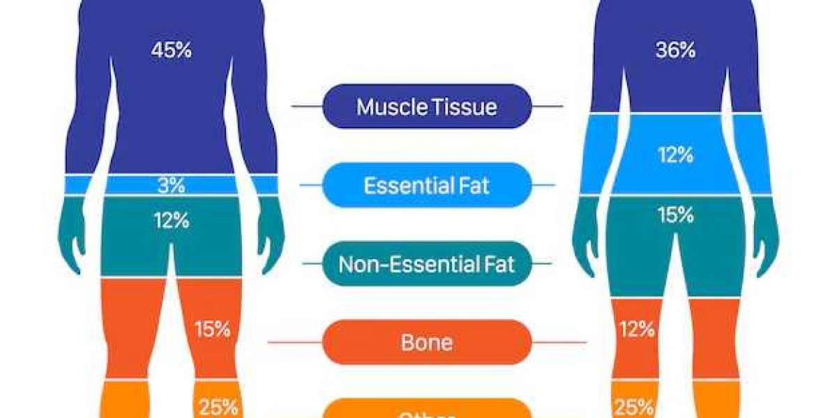 The Utility of Body Composition Assessment in Nutrition and Clinical Practice: An Overview of Current Methodology PMC