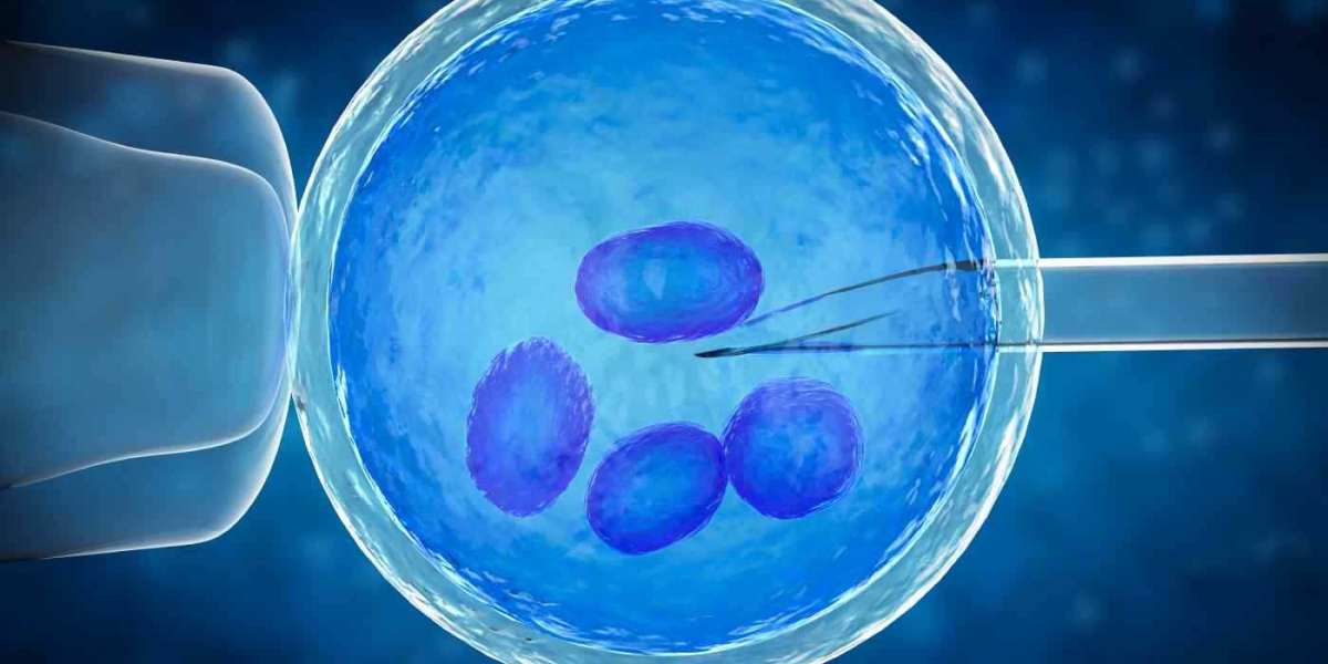 Report on Preimplantation Genetics Diagnosis Market Research 2032 - Value Market Research