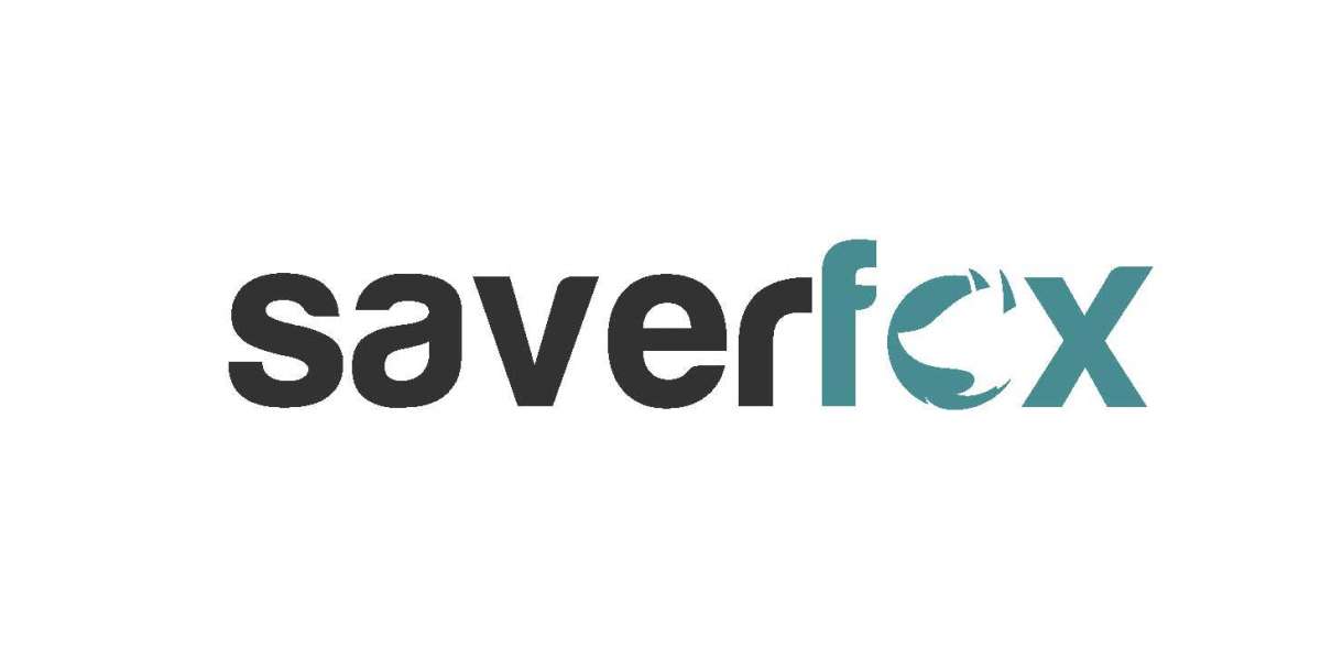 How SaverFox Can Transform Your Financial Journey in the UAE