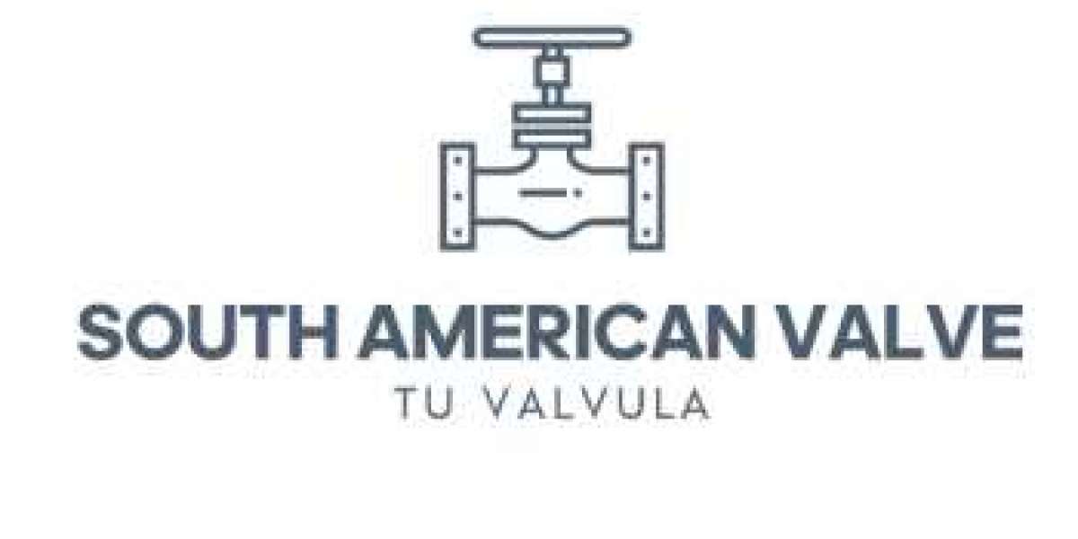 Dual Plate Check Valve Manufacturer in Brazil