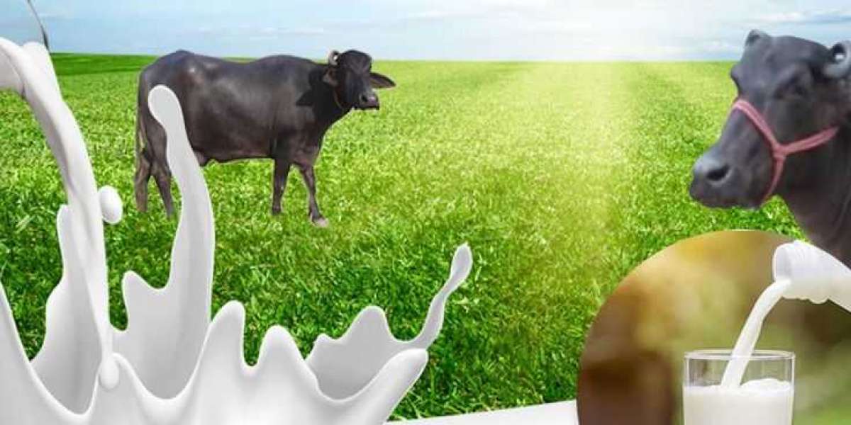 A Look Into the Future: What Will the WellHealthOrganic Buffalo Milk Tag