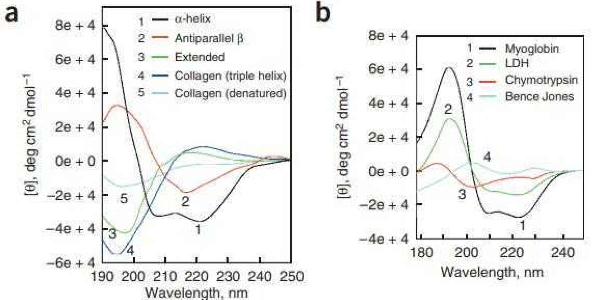 Understanding Circular Dichroism Spectroscopy in Biochemistry