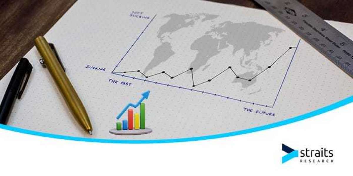 Skateboard Bearing Market Expansion Strategies: Unlocking New Growth Avenues