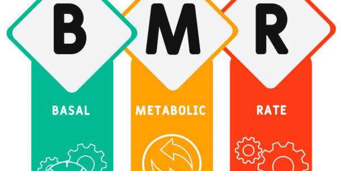 Unlock Your Fitness Potential with a BMR Calculator: The Key to Sustainable Health and Weight Management