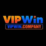 VIPWIN company Profile Picture