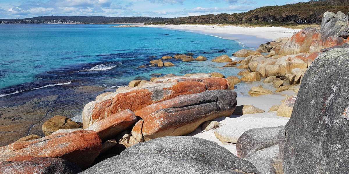 Exploring the Wilderness: A Comprehensive Guide to Cradle Mountain Tours