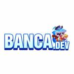 Banca dev profile picture