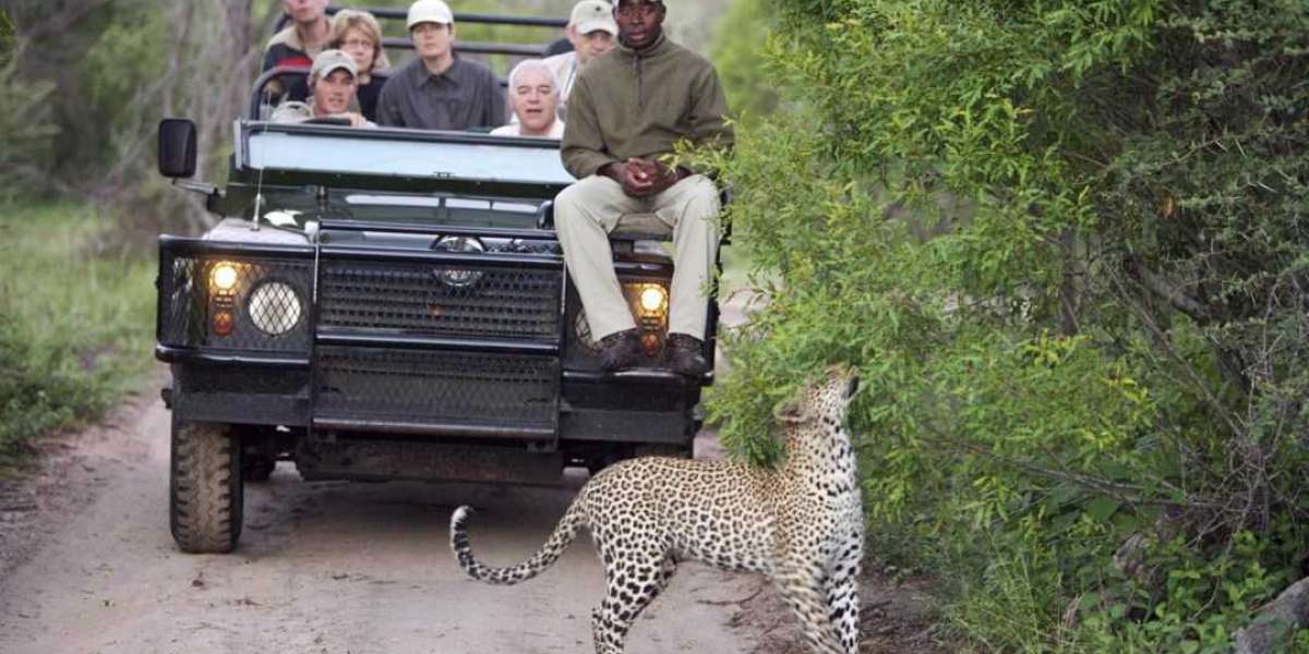 Discover Unforgettable Adventures with Kruger Park Specials