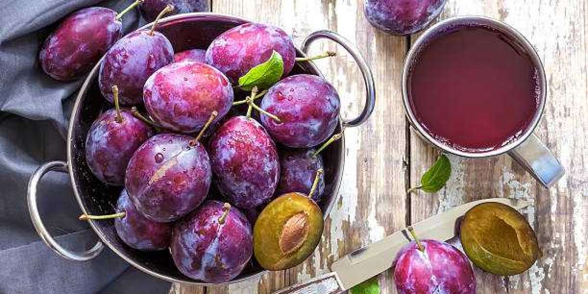 Plum Extract Market Size, Share, Outlook, Industry Analysis, and Prospect 2024-2031