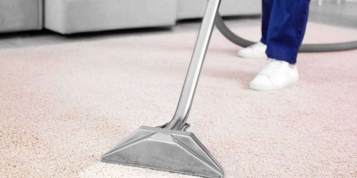 How to Maintain Clean Carpets Between Professional Services in Charlotte