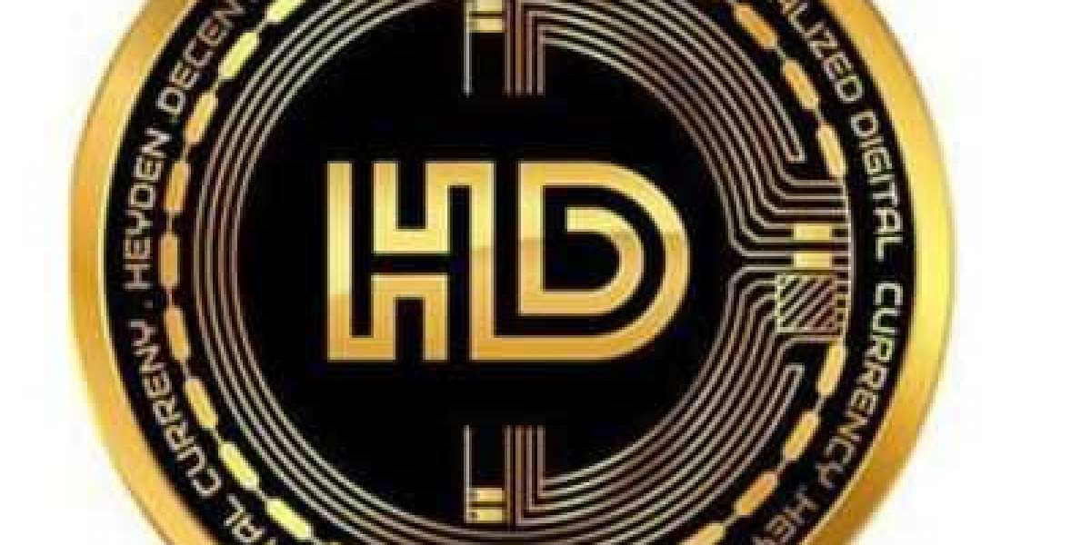 Heyden Coin: Your Gateway to Crypto Investment with Just $100