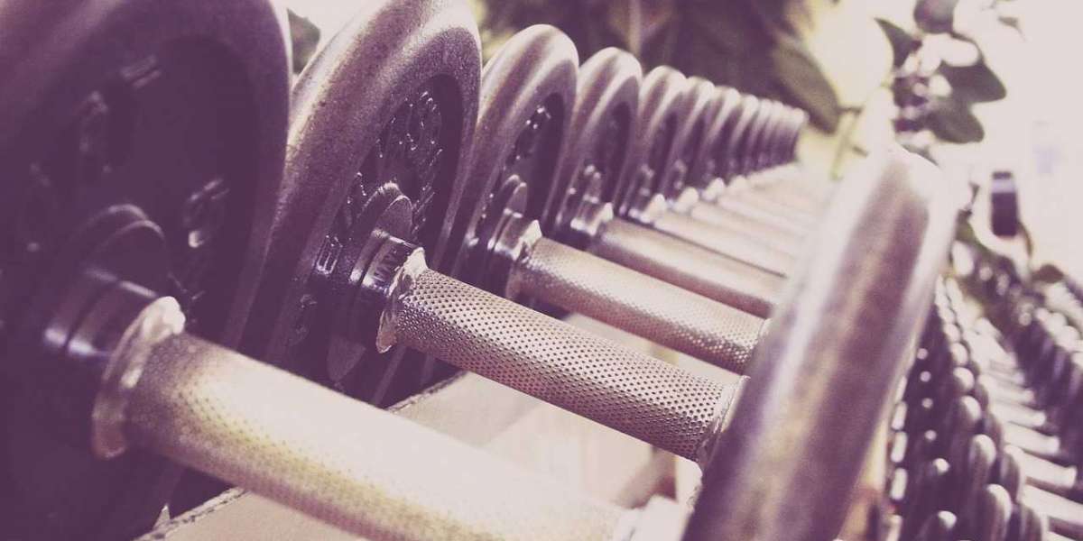 The Best Gyms in Boca Raton to Lead a Fit Lifestyle