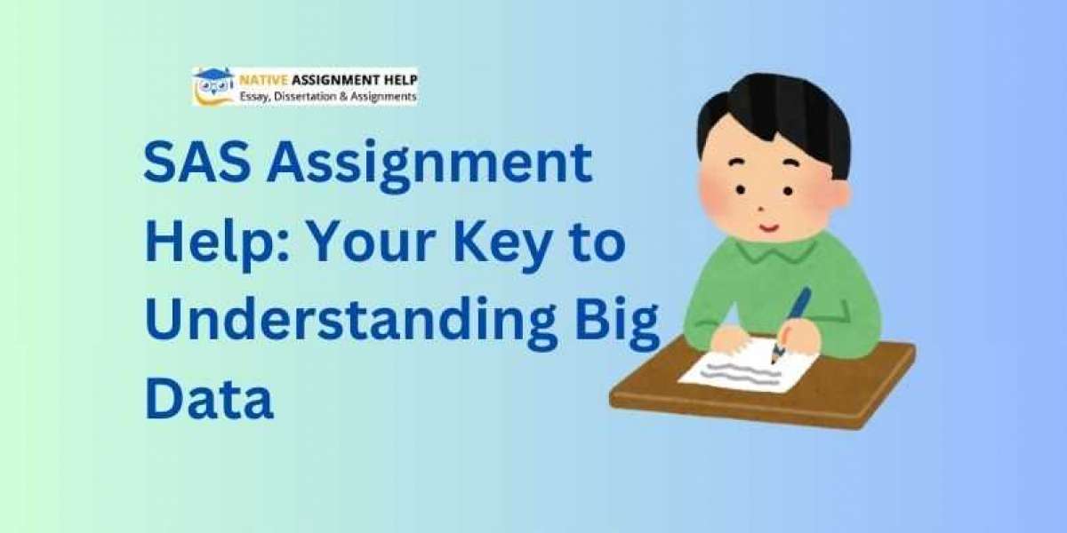 SAS Assignment Help: Your Key to Understanding Big Data