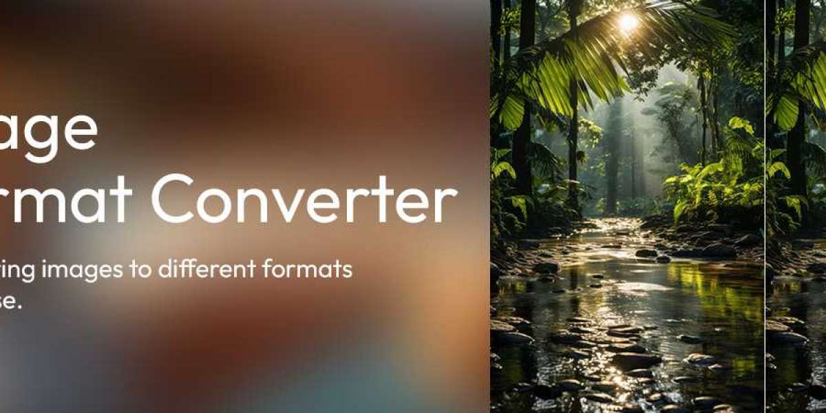 Unlocking the Power of Free Image Converters: From JPG to PDF and Beyond