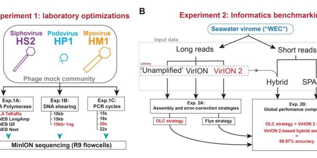 Long-read Sequencing for Viral Genomes Study