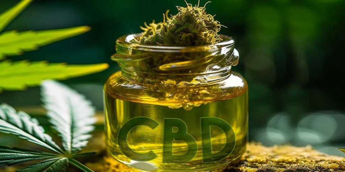 Real Stories: How 1000 mg CBD Oil Changed Lives