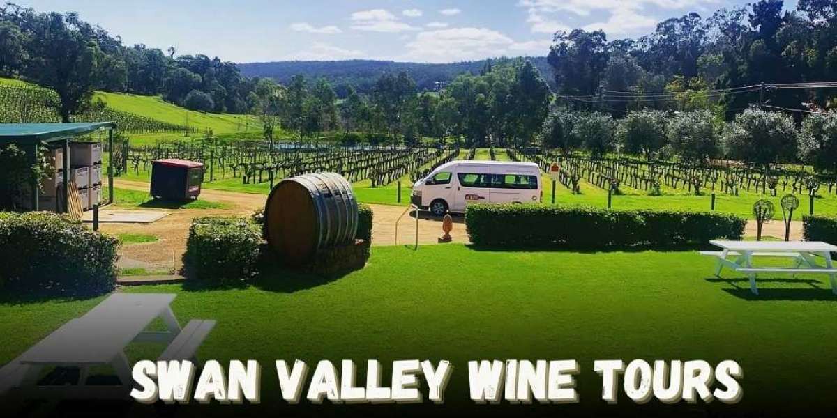 Unforgettable Swan Valley Wine Tours Experience