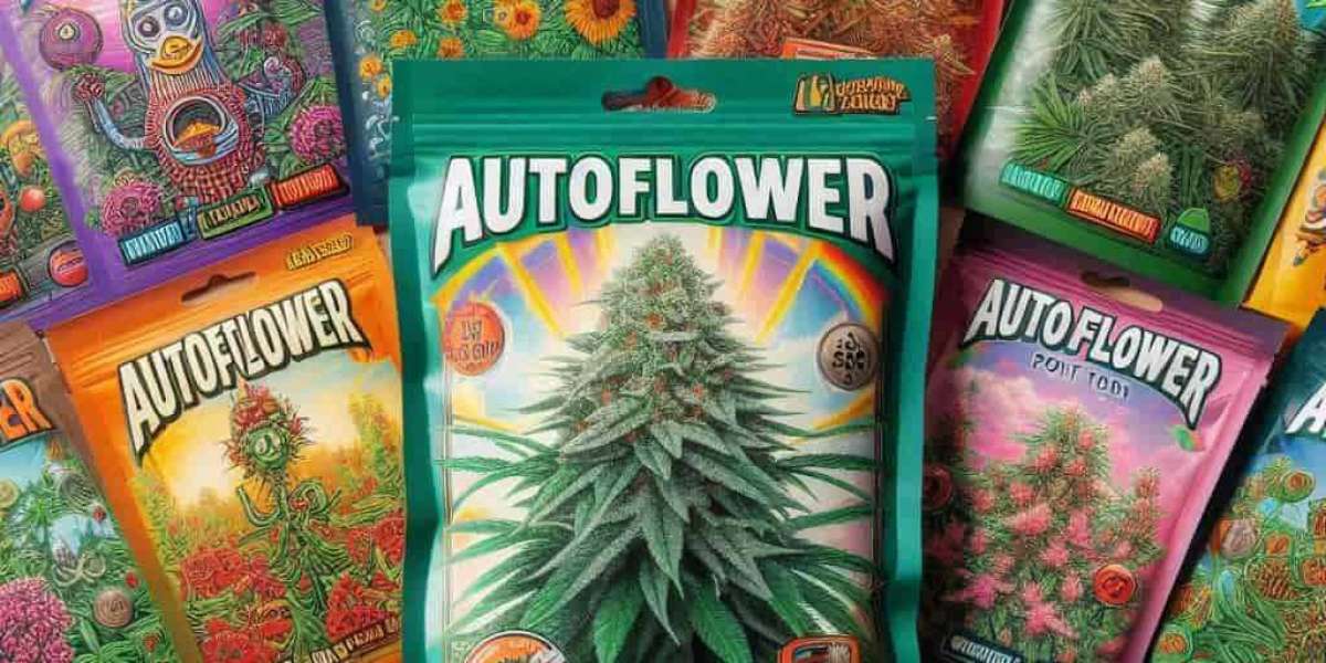 Buying Marijuana Seeds Online in Delaware: What You Need to Know