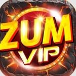 zumvipvn pro Profile Picture