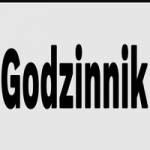 God zinnik Profile Picture