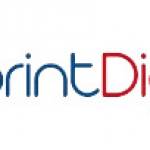 Spirint Digitech Profile Picture