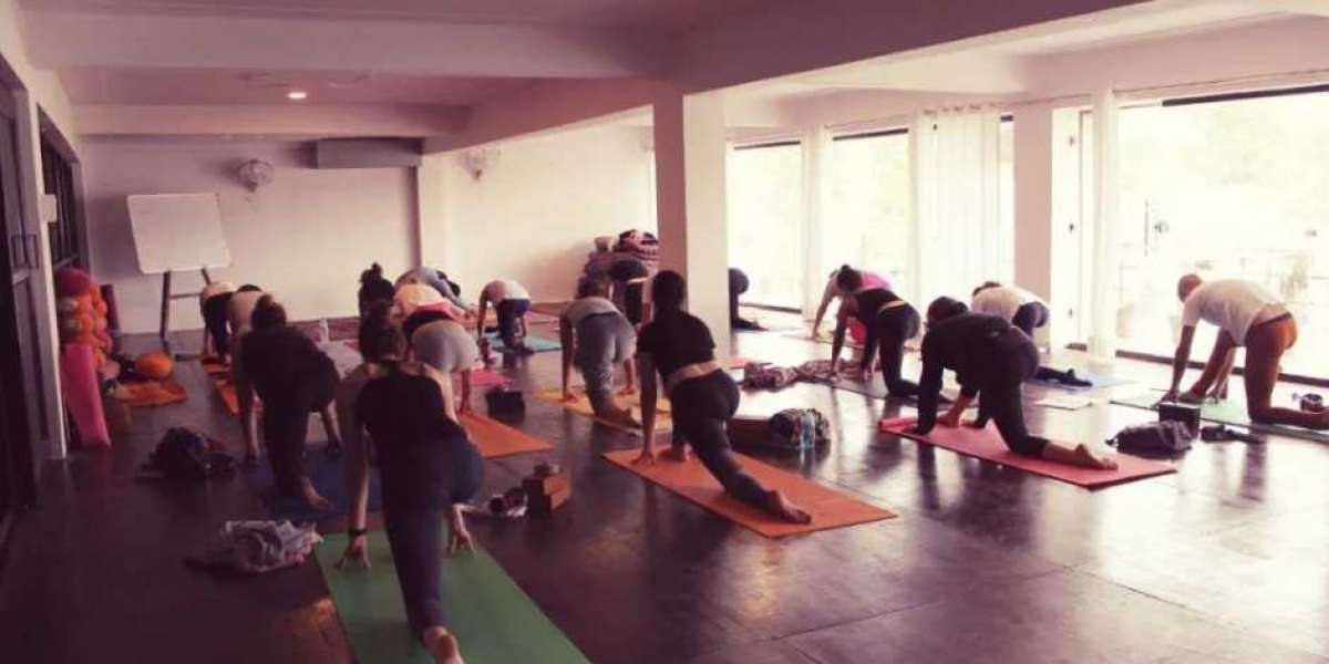 Hatha Yoga School in India: Transform Your Life with AlakhYog