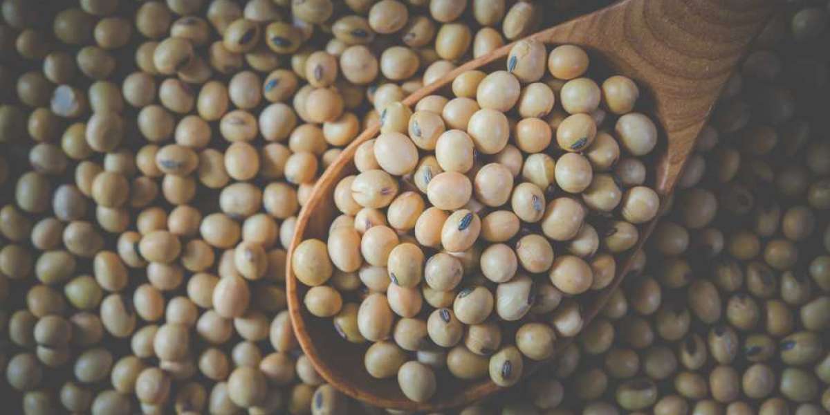 Understanding the Importance of Soybean in Commodity Valuation