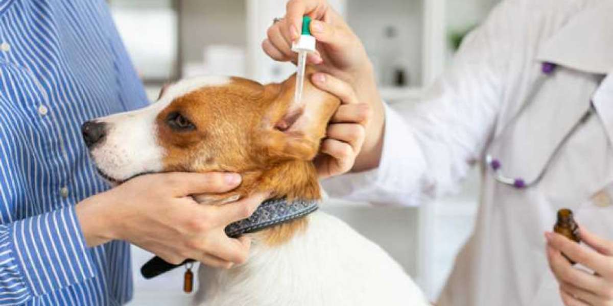 Identificando Alergias em Pets: O Papel dos Exames Laboratoriais na Saúde do Seu Melhor Amigo