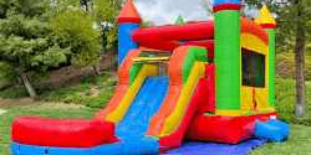 Find the Perfect Bounce House Water Slide for Endless Fun!