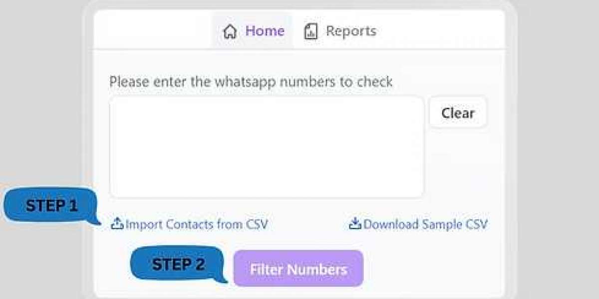 Free WhatsApp contact filter online