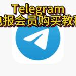 telegramef Chinese Profile Picture