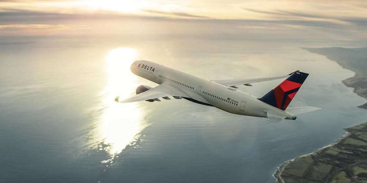 What is Delta Air Lines Group?