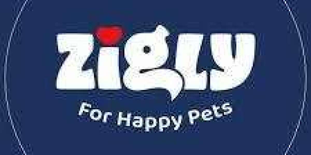 Zigly - Pet Grooming & Pet Products | New Friends Colony