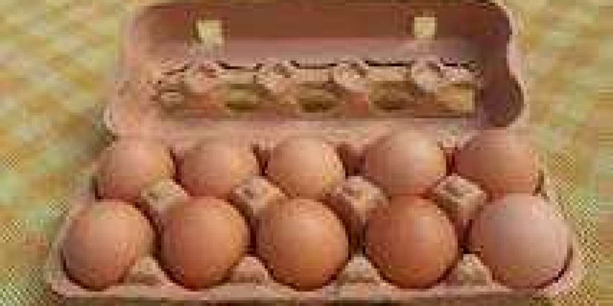 The Benefits of Buying Egg Cartons in Bulk