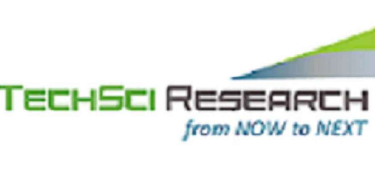 Nanosilica Market: Revenue and Price Trends Analysis for 2029F