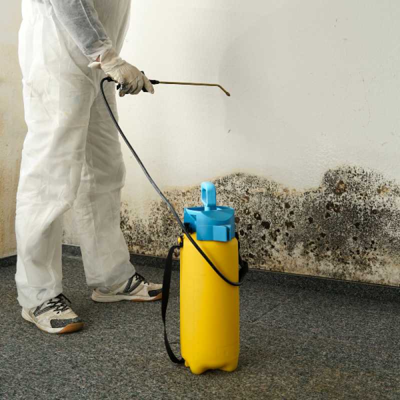 What is Mold Mitigation?