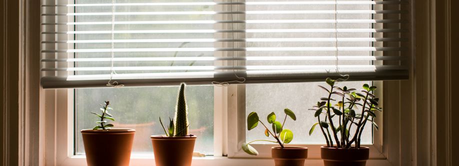 Discount Buy Blinds Cover Image