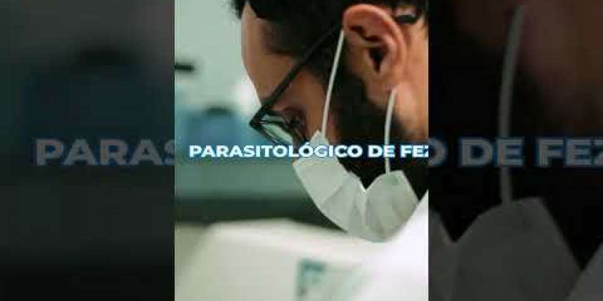 Citologia Dermatológica no Gold Lab Vet: O Cuidado Rápido que Seu Pet Merece