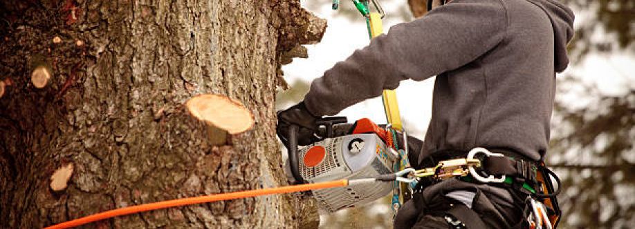 Corvallis Premier Tree Care Cover Image