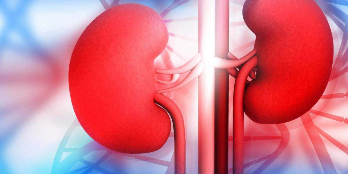 Comprehensive Ayurvedic Treatments for All Types of Kidney Diseases by Aksa Ayurveda