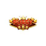 Pusy 888 Profile Picture