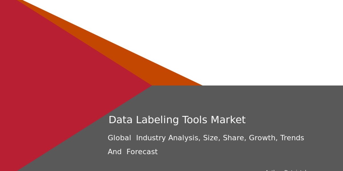 Comprehensive Forecast for Data Labeling Tools Industry Size by 2032