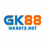 Gk88t2 Net Profile Picture