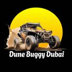 DUNE BUGGY DUBAI Profile Picture