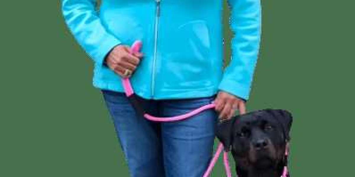 The New Way to Walk: Your Modern Lifestyle with Good Walker Hands-free Leash