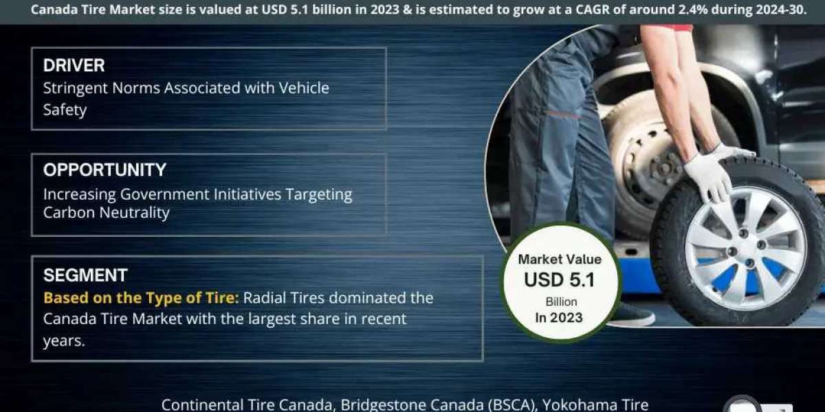 Canada Tire Market Expanding at a CAGR of 2.4% during 2024-2030