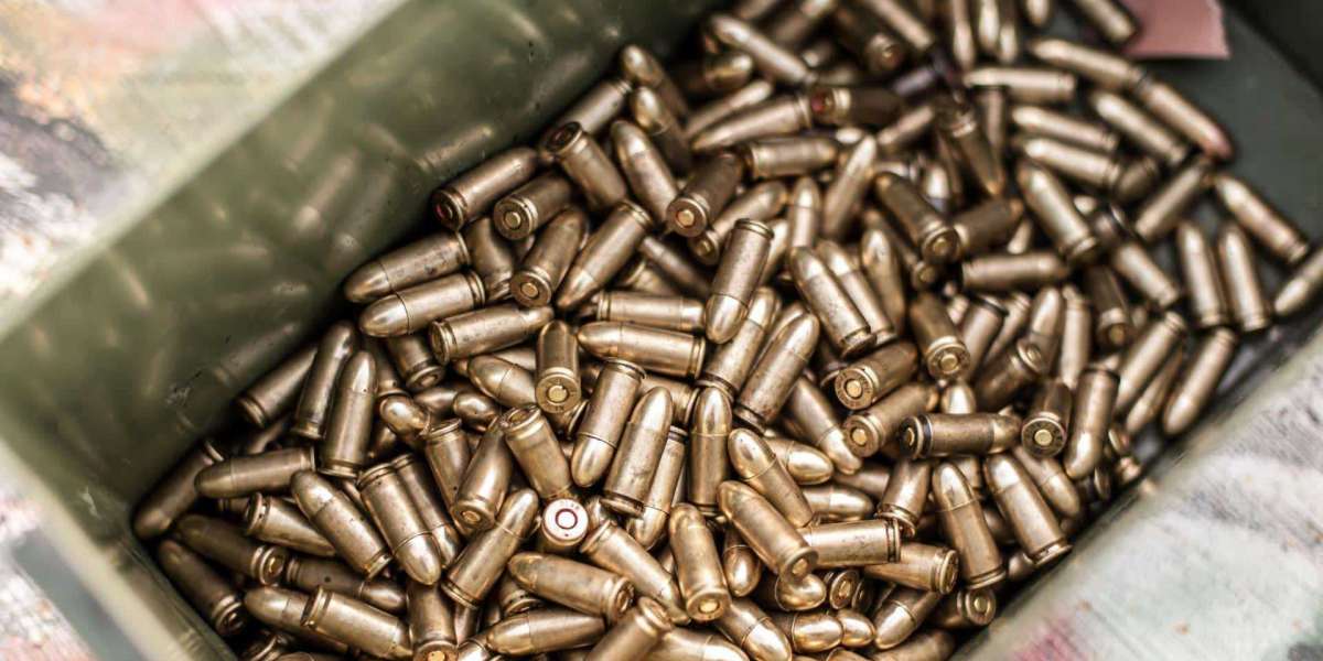 Affordable .44 Mag Ammo Options for Precision Shooting