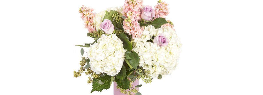 FreshFlowerDelivery Cover Image